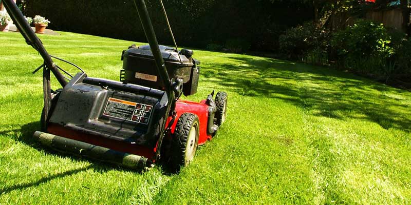 Lawn Treatment Services in trichy | lawn services in trichy