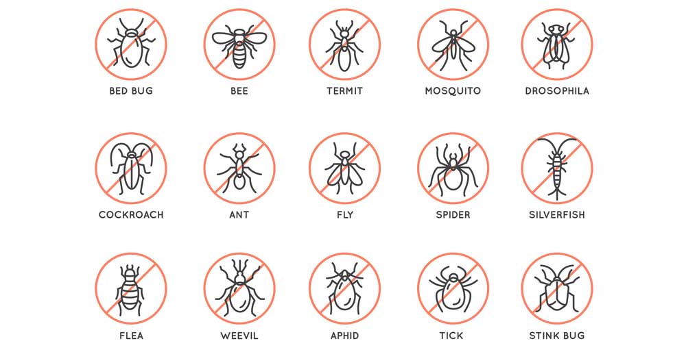 Crystal Nano Solutions